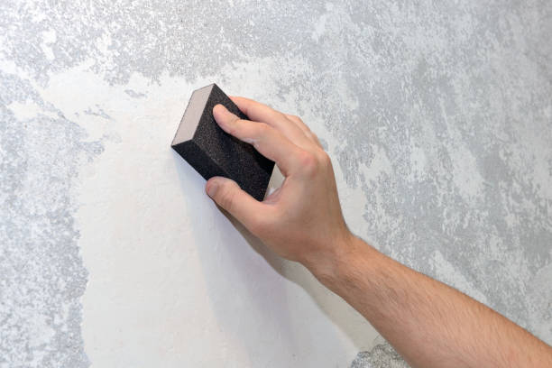 Environmental Consulting for Mold Prevention in Delisle, MS
