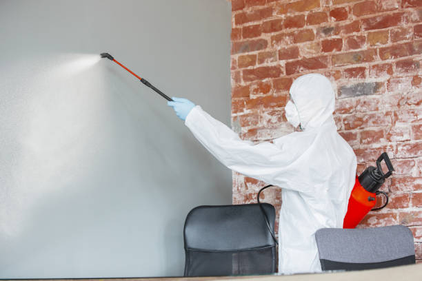 Best Commercial Mold Inspection  in Delisle, MS