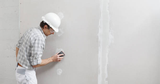 Best Comprehensive Air Testing for Mold Contaminants  in Delisle, MS