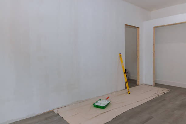Reliable Delisle, MS Mold Removal Solutions