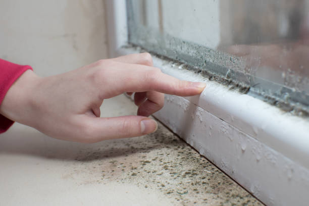 Best Indoor Air Quality Assessment  in Delisle, MS